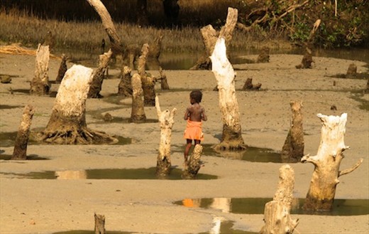 Dead mangroves, Ifaty