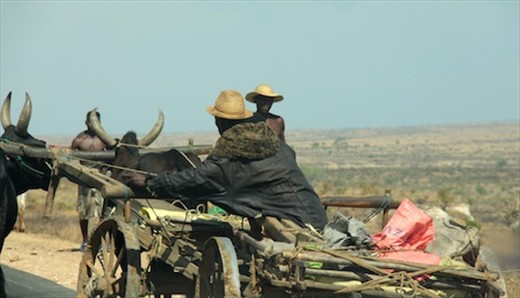 On the road to Ankarafantsika National Park