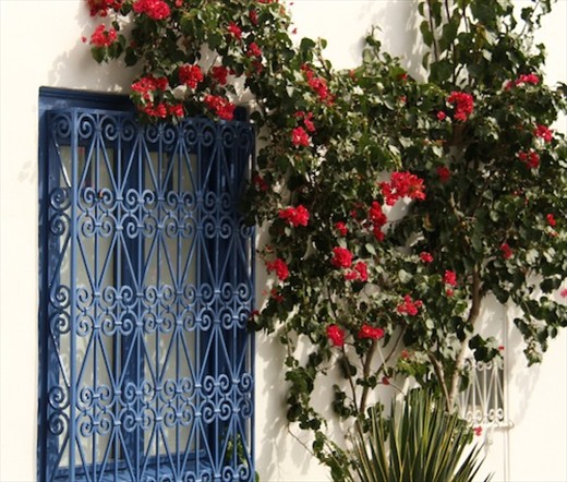 Blue door, Sidi Bou Said