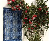 Blue door, Sidi Bou Said: by vagabondstoo, Views[559]