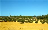 Tunisian countryside: by vagabondstoo, Views[602]