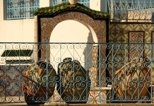 View from the rooftop, Tunis medina