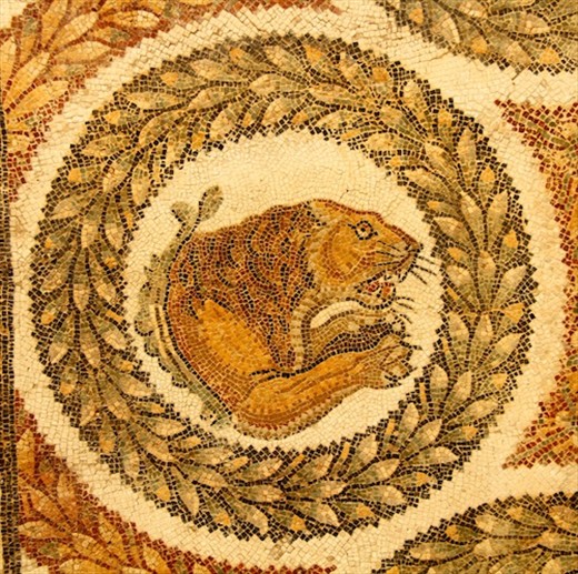 Tiger mosaic, Bardo Museum