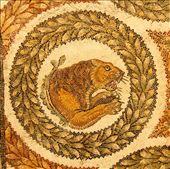 Tiger mosaic, Bardo Museum: by vagabondstoo, Views[560]