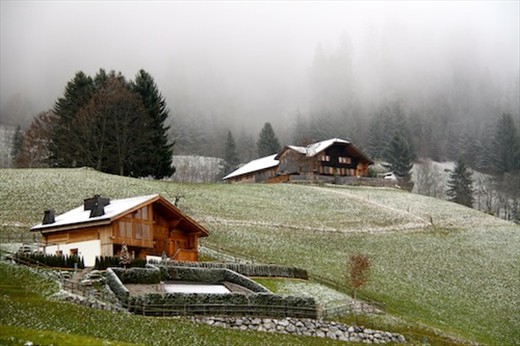Snowy day, Bernese Oberland