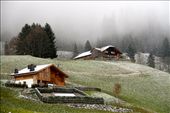 Snowy day, Bernese Oberland: by vagabondstoo, Views[1287]