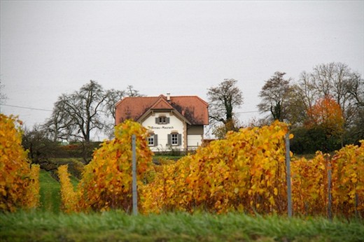 Lake Konstanz, aka Bodensee, Germany