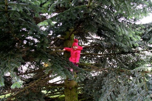 Pink on Green, St. Gallen, Switzerland