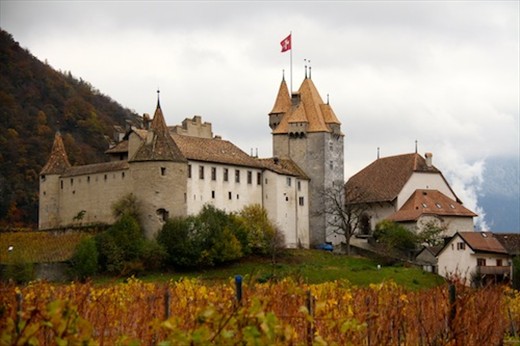Vines and castle, Bernese Oberland