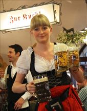 Bringing the suds, Hofbrau Haus, Munich: by vagabondstoo, Views[1077]