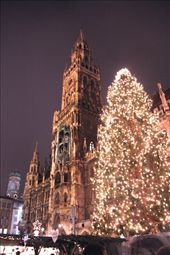 Munich Rathaus lit up for Christmas: by vagabondstoo, Views[510]
