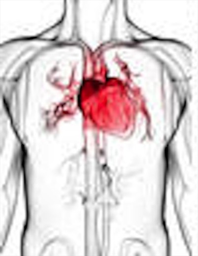 The heart of the matter