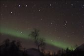 Aurora glow with Big Dipper: by vagabondstoo, Views[515]