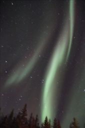 Aurora Borealis ribbons from horizon to horizon: by vagabondstoo, Views[734]