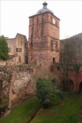 Heidelberg Castle: by vagabondstoo, Views[998]