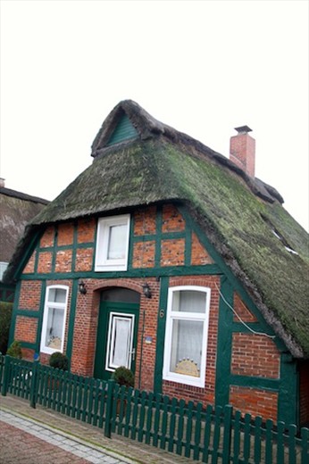 North Sea thatched roof