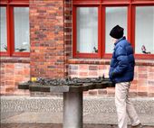 Connie examines model of Stralsund: by vagabondstoo, Views[416]