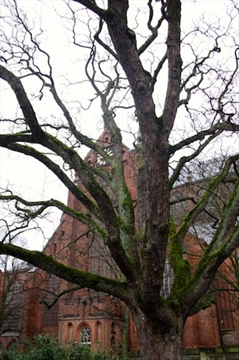St. Mary's Church, Stralsund