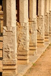 Carvings at Krishna's Bazaar, Hampi: by vagabondstoo, Views[252]