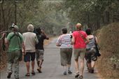 With the Brits, Bagwhan Mahaveer National Park: by vagabondstoo, Views[608]
