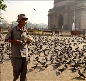Pigeon Guy, Mumbai: by vagabondstoo, Views[580]