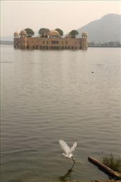 Jal Mahal, Jaipur: by vagabondstoo, Views[293]