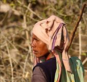 Goatherd, Bandvahgarh: by vagabondstoo, Views[602]