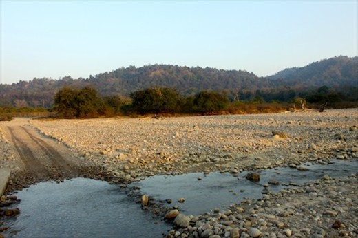 Jim Corbett National Park