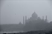 Taj Mahal in the haze from Agra Fort: by vagabondstoo, Views[634]