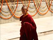 Kid Monk, Mahabodhi Temple, Bodhgaya: by vagabondstoo, Views[667]