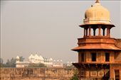 Pearl Mosque, Agra Fort: by vagabondstoo, Views[591]