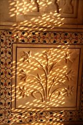 Shadow and pietra dura, Taj Mahal, Agra: by vagabondstoo, Views[449]