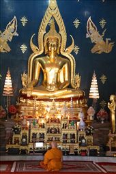 Inside the Thai Temple, Bodhgaya: by vagabondstoo, Views[287]
