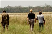 On foot in the bush, Manas National Park, Assam: by vagabondstoo, Views[470]