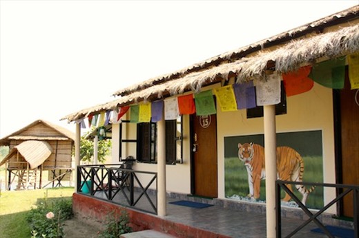 Wildlife Adventure Resort, Chitwan