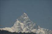New snow in the Anapurna range from our room, Pokhara: by vagabondstoo, Views[1949]