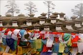 Stupas at Dochula Pass: by vagabondstoo, Views[546]