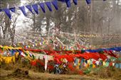 Prayer flags at Dochula Pass, 10,000 feet: by vagabondstoo, Views[1334]