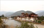 Punakha Dzong, Palace of Great Happiness, Punakha: by vagabondstoo, Views[533]