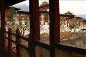 Punakha Dzong from the bridge, Punakha: by vagabondstoo, Views[447]