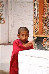 A suspicious monk, Punakha Dzong: by vagabondstoo, Views[513]