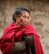 Talo Shedra Festival: by vagabondstoo, Views[536]