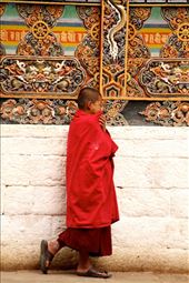 Young monk, Punakha Dzong: by vagabondstoo, Views[580]