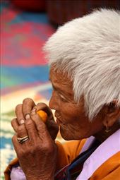 Cumquat, Talo Shedra Festival: by vagabondstoo, Views[591]