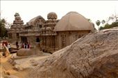 Five Rathas, Mamallapura: by vagabondstoo, Views[539]