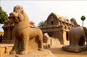 Five Rathas, Mamallapura: by vagabondstoo, Views[2347]