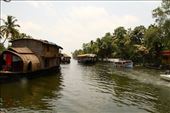 Houseboat trafficjam, Kerala Backwaters: by vagabondstoo, Views[2127]