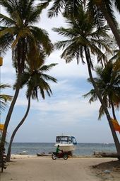 island paradise, Maafushi: by vagabondstoo, Views[711]