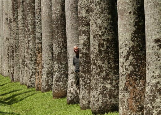 John and palms, Botanic Gardens, Kandy