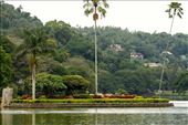 Kandy Lake: by vagabondstoo, Views[431]